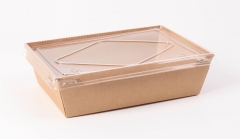 Take away lunch box with plastic lid